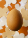 An Egg Photographic Print by Luzia Ellert