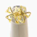 Mixer with Scraps of Cake Mixture Photographic Print by Jo Kirchherr