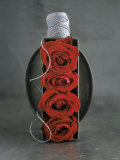 Red Roses in Baking Dish with Kitchen String Photographic Print by Ellen Silverman