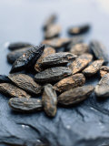 Tonka Beans (African Spice) Photographic Print by Stefan Braun