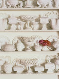 White Pottery on Shelves Photographic Print by Francis Hammond