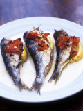 Grilled Sardines with Tomatoes and Lemon Wedges Photographic Print
