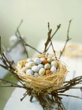 Sweet Easter Eggs in a Nest Photographic Print by Philip Webb