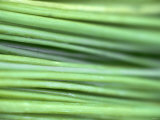 Chives Photographic Print by Ulrike Holsten