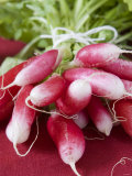 A Bunch of Radishes Photographic Print by Vanessa Colin
