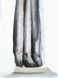 Four Smoked Eels in a Box Photographie par Peter Medilek