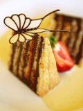 Piece of Japanese Chocolate Cake with Butterfly Photographic Print by Steven Morris