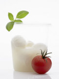Mozzarella in Beaker, Tomato and Basil Photographic Print by Marc O. Finley