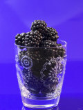 Fresh Blackberries in a Glass Photographic Print by Sara Jones