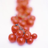 Cocktail Tomatoes Photographic Print by Stefan Braun
