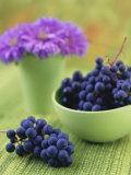Black Grapes in a Bowl Photographic Print by Vladimir Shulevsky