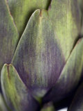 An Artichoke Photographic Print by Herbert Lehmann
