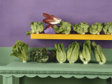 An Assortment of Lettuces and Salad Leaves Photographic Print by Luzia Ellert