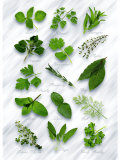 Various Herbs on Marble Photographic Print by Peter Howard Smith