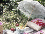 Outdoor Picnic with Salami Sandwiches Photographic Print by Linda Burgess