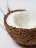 Half a Coconut Photographic Print by Frank Tschakert