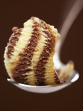 Chocolate and Vanilla Ice Cream on a Spoon Photographie par Marc O. Finley
