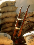 Coffee Beans in Burlap Bags in Warehouse Fotografie-Druck