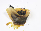 Filter Paper with Coffee Grounds Photographie par Anita Oberhauser