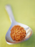 Red Lentils on Spoon Fotografisk trykk av Jan C. Brettschneider