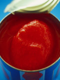 Tomatoes in a Tin Photographic Print
