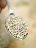 Pearl Barley on a Spoon Photographic Print by Winfried Heinze
