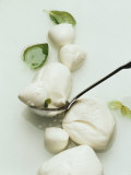 Mozzarella and Fresh Basil Photographic Print by Luzia Ellert