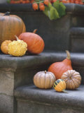 Pumpkins on Stairs Photographic Print by Alena Hrbkova