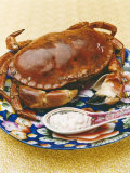 A Crab with Dip Photographic Print by Sara Danielsson