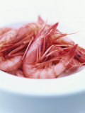 Fresh Gambas on a Plate Photographic Print by Peter Medilek