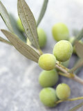 Olive Sprig with Green Olives Photographic Print by Brigitte Sporrer