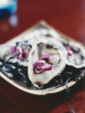 Oysters with Red Onions Photographic Print by Susanna Blåvarg