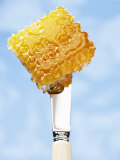 A Piece of Honeycomb on a Knife Photographic Print by Marc O. Finley