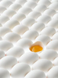 White Eggs, Lying on Their Sides, One Opened Photographie par Klaus Arras