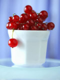Redcurrants in a Small Pot Fotografisk trykk av Franck Bichon Redcurrants in a Small Pot Fotografisk trykk av Franck Bichon
