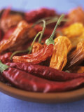 Dried Chili Peppers Photographic Print by Sheri Giblin