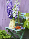 Garden Chair with Delphiniums and Plate of Strawberries Photographic Print by Linda Burgess