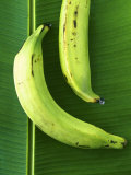 Two Plantains on a Banana Leaf Photographie par Armin Zogbaum