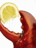 A Wedge of Lemon in a Lobster Claw Photographie par Peter Howard Smith
