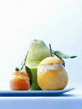 Citrus Fruit Granita with Tequila Photographie par Armin Zogbaum