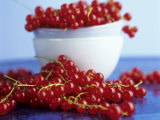 Redcurrants, in and Beside Bowl Photographic Print by Dagmar Morath