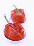 Two Baked Peppers in Small Dishes Photographic Print by Stefan Braun