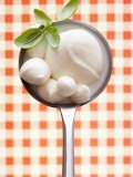 Mozzarella with Basil in Ladle Photographic Print by Marc O. Finley