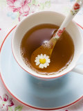 Chamomile Tea in Cup with Spoon Fotografie-Druck