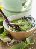 Pesto with Olive Oil in Small Bowl, Basil, Parmesan Photographic Print