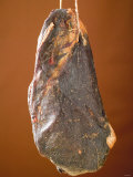 Smoked Venison Ham Photographic Print