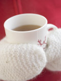Hands in Mittens Holding Cup of Hot Tea Lámina fotográfica Hands in Mittens Holding Cup of Hot Tea Lámina fotográfica