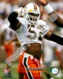 Ray Lewis Photo