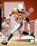 Ed Reed Photo