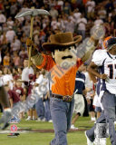 Paydirt Pete Photo